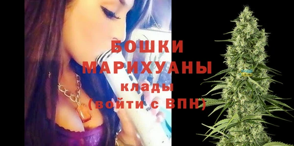 ПСИЛОЦИБИНОВЫЕ ГРИБЫ Балабаново