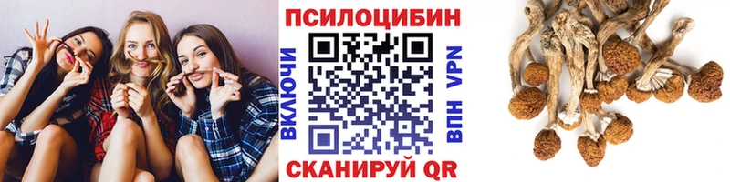 Галлюциногенные грибы Cubensis  маркетплейс Telegram  Заречный  как найти закладки 