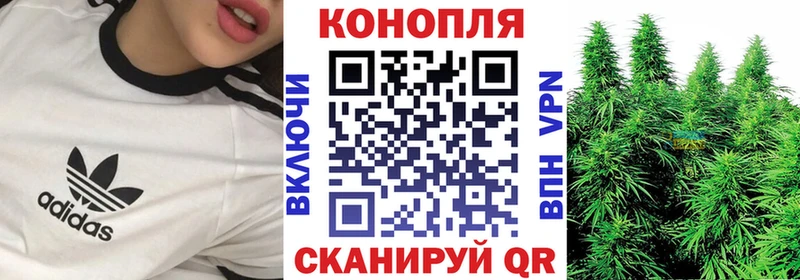 где купить наркоту  Заречный  Бошки марихуана Ganja 